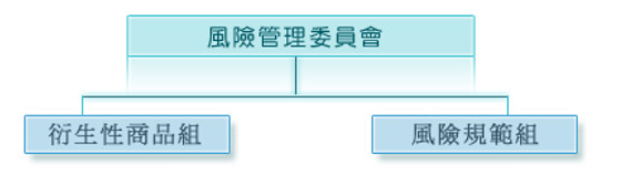 風險管理委員會組織架構圖